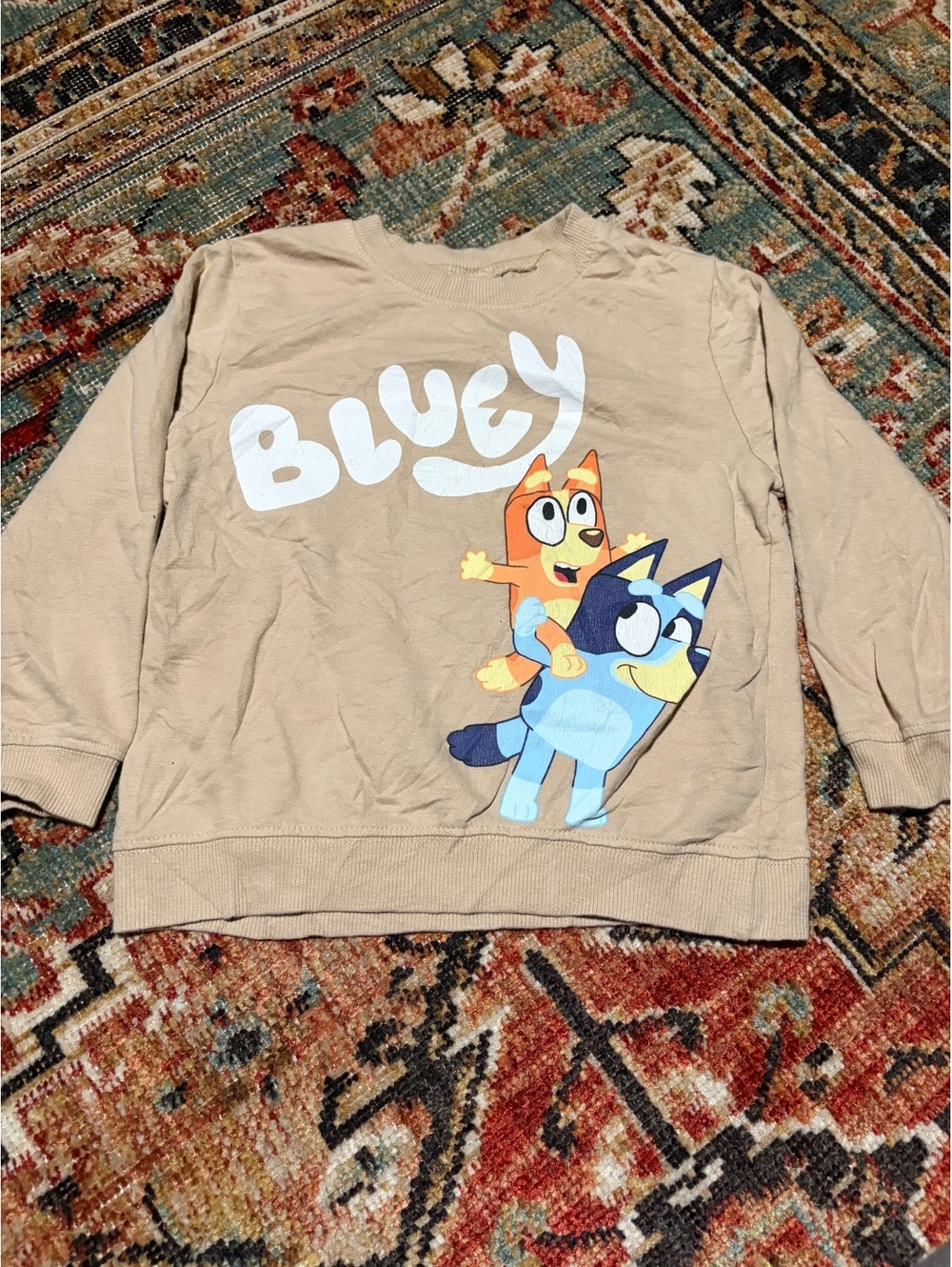 Bluey tan graphic sweatshirt